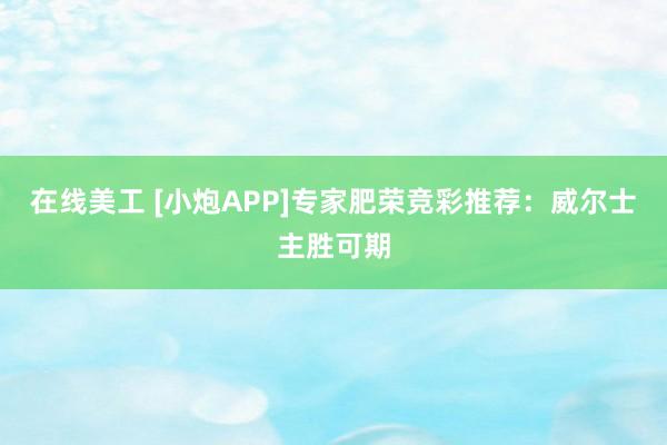 在线美工 [小炮APP]专家肥荣竞彩推荐：威尔士主胜可期